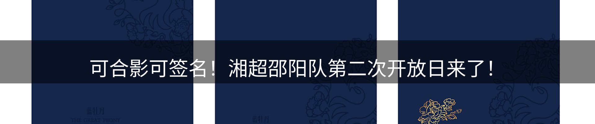 网站资讯