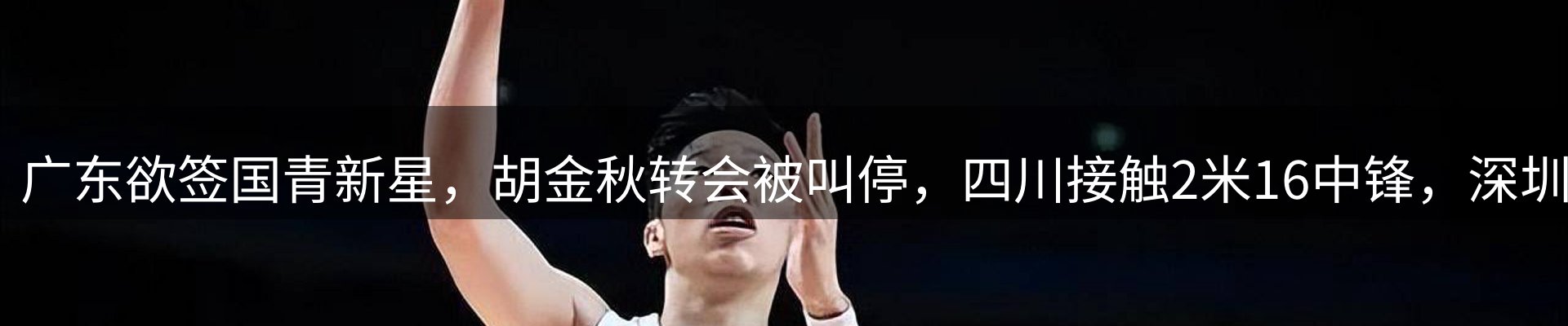 网站资讯