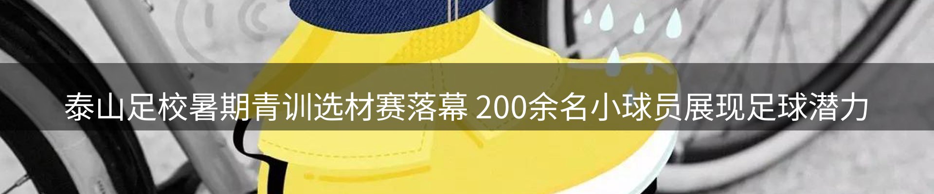 网站资讯