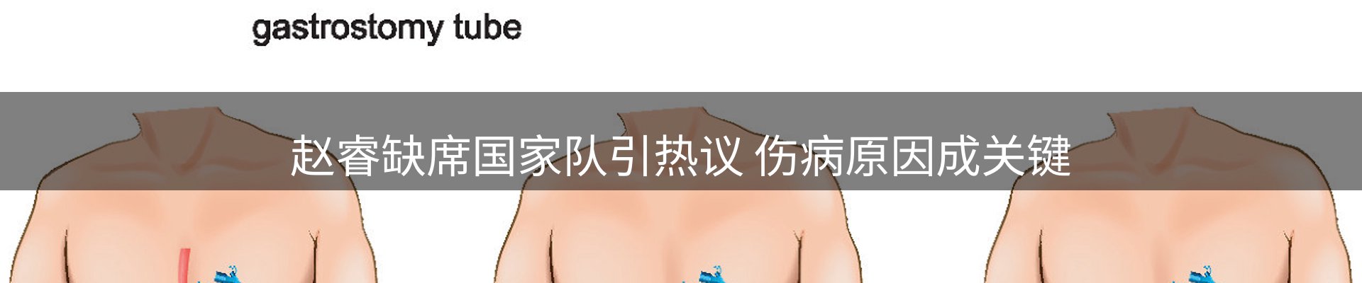 网站资讯