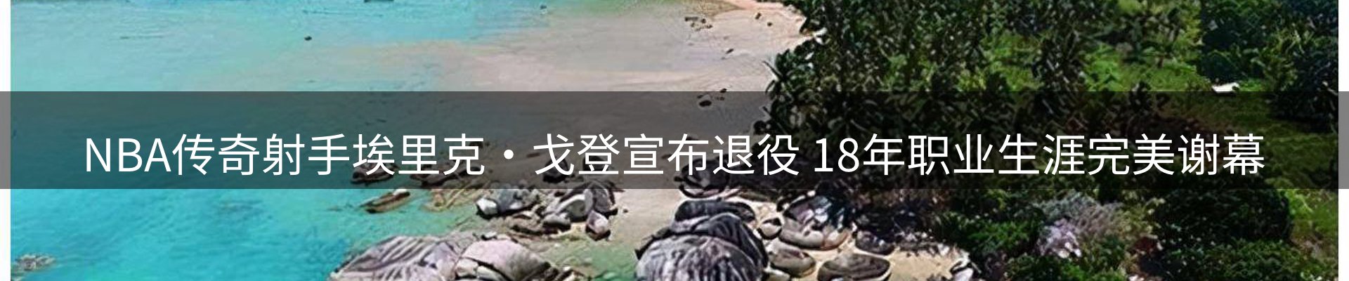 网站资讯